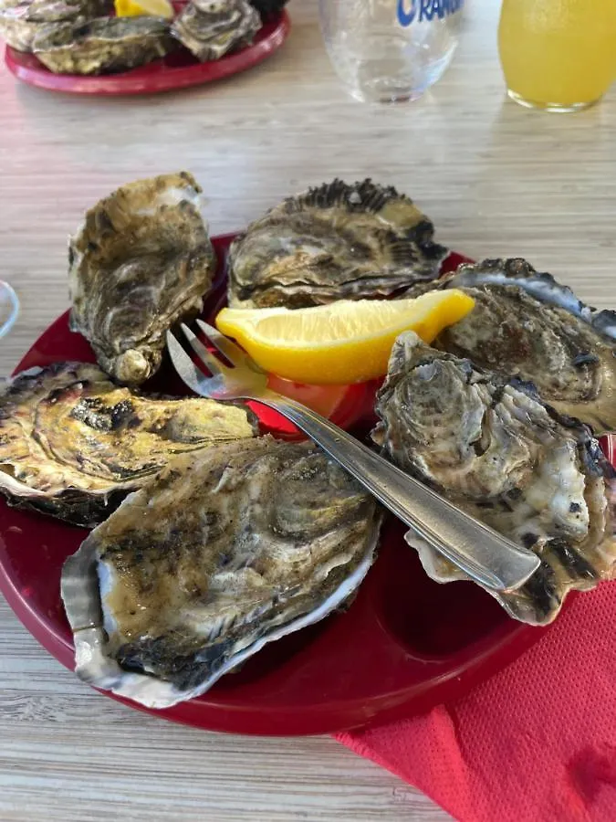 Le Chalet De Kervignon Plobannalec-Lesconil